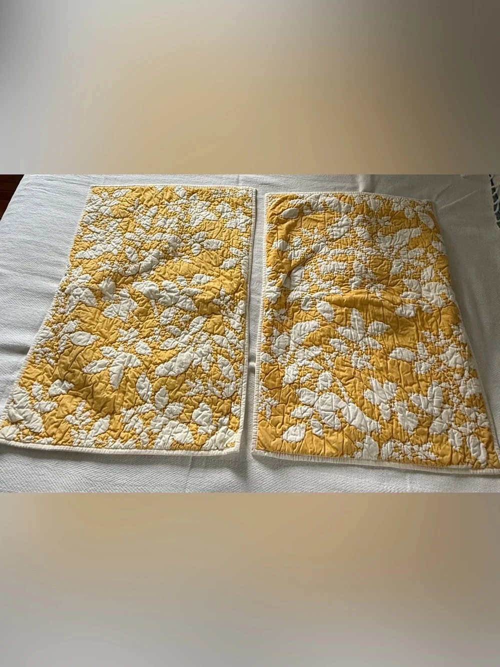 Pottery Barn Songbird Quilted Standard Pillow Shams Set of 2